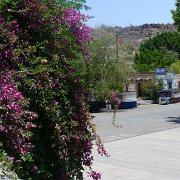 Baja2011 377 : Baja2011